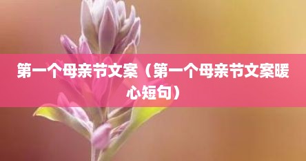 第一个母亲节文案（第一个母亲节文案暖心短句）