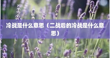 冷战是什么意思（二战后的冷战是什么意思）