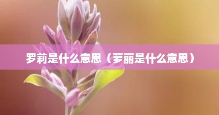 罗莉是什么意思（萝丽是什么意思）