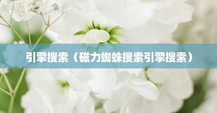 引擎搜索（磁力蜘蛛搜索引擎搜索）