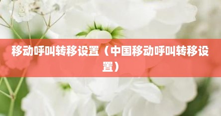 移动呼叫转移设置（中国移动呼叫转移设置）