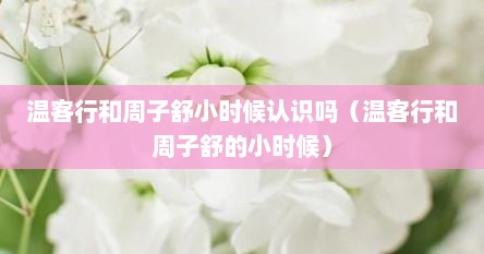 温客行和周子舒小时候认识吗（温客行和周子舒的小时候）