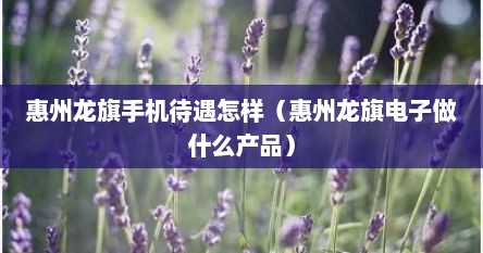 惠州龙旗手机待遇怎样（惠州龙旗电子做什么产品）