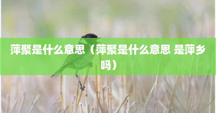 萍聚是什么意思（萍聚是什么意思 是萍乡吗）