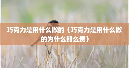 巧克力是用什么做的（巧克力是用什么做的为什么那么贵）