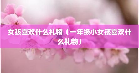 女孩喜欢什么礼物（一年级小女孩喜欢什么礼物）