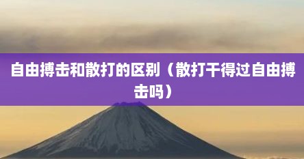 自由搏击和散打的区别（散打干得过自由搏击吗）