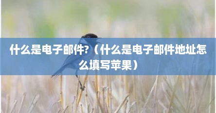 什么是电子邮件?（什么是电子邮件地址怎么填写苹果）