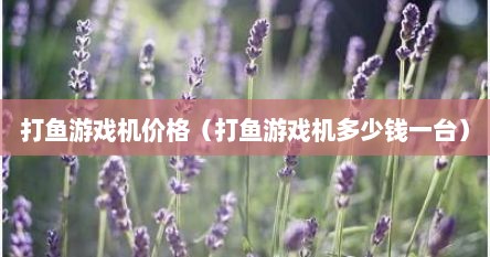 打鱼游戏机价格（打鱼游戏机多少钱一台）