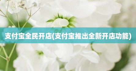 支付宝全民开店(支付宝推出全新开店功能)