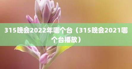 315晚会2022年哪个台（315晚会2021哪个台播放）