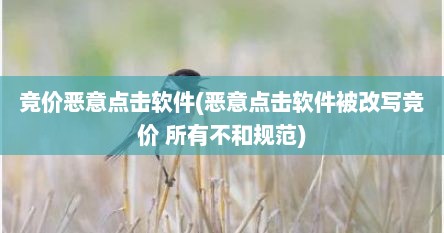 竞价恶意点击软件(恶意点击软件被改写竞价 所有不和规范)