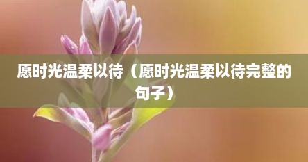 愿时光温柔以待（愿时光温柔以待完整的句子）