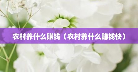 农村养什么赚钱（农村养什么赚钱快）