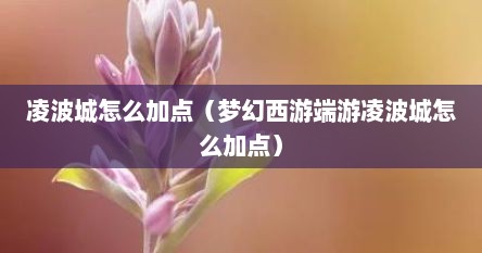 凌波城怎么加点（梦幻西游端游凌波城怎么加点）