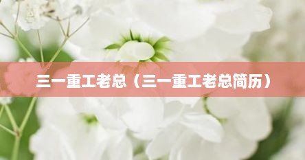 三一重工老总（三一重工老总简历）