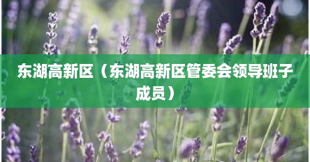 东湖高新区（东湖高新区管委会领导班子成员）