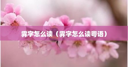 霁字怎么读（霁字怎么读粤语）