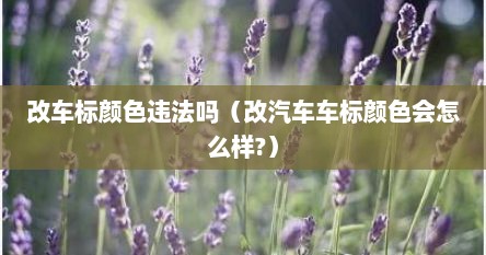 改车标颜色违法吗（改汽车车标颜色会怎么样?）