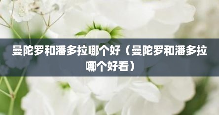 曼陀罗和潘多拉哪个好（曼陀罗和潘多拉哪个好看）