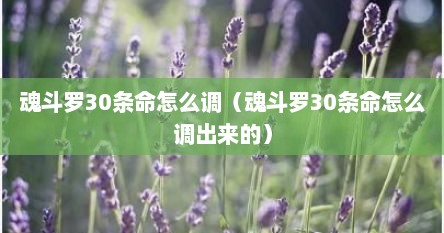 魂斗罗30条命怎么调（魂斗罗30条命怎么调出来的）