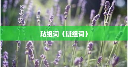 玷组词（班组词）