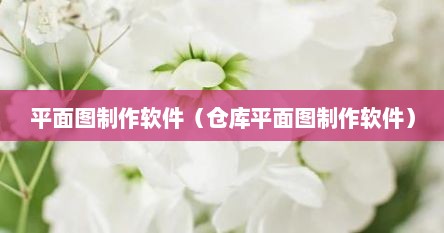 平面图制作软件（仓库平面图制作软件）