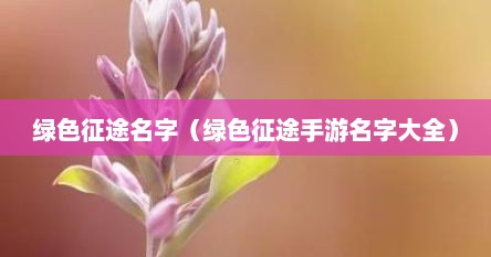 绿色征途名字（绿色征途手游名字大全）