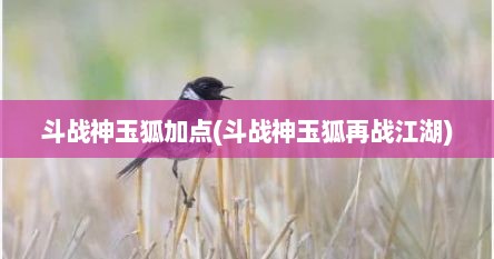 斗战神玉狐加点(斗战神玉狐再战江湖)