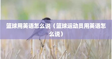 篮球用英语怎么说（篮球运动员用英语怎么说）