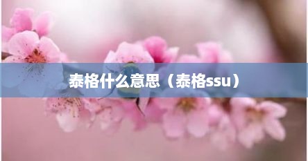 泰格什么意思（泰格ssu）