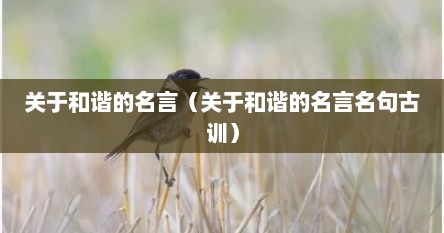 关于和谐的名言（关于和谐的名言名句古训）