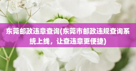 东莞邮政违章查询(东莞市邮政违规查询系统上线，让查违章更便捷)