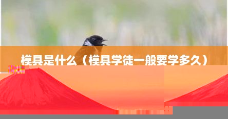 模具是什么（模具学徒一般要学多久）