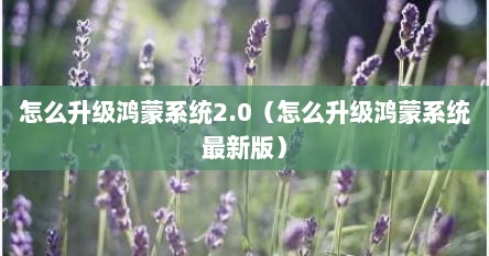 怎么升级鸿蒙系统2.0（怎么升级鸿蒙系统最新版）