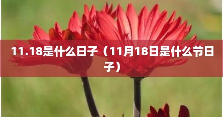 11.18是什么日子（11月18日是什么节日子）