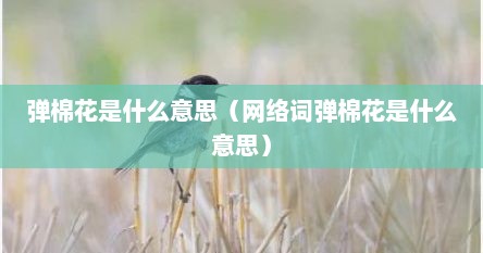 弹棉花是什么意思（网络词弹棉花是什么意思）