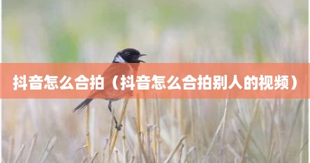 抖音怎么合拍（抖音怎么合拍别人的视频）