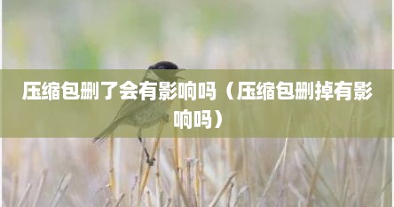 压缩包删了会有影响吗（压缩包删掉有影响吗）