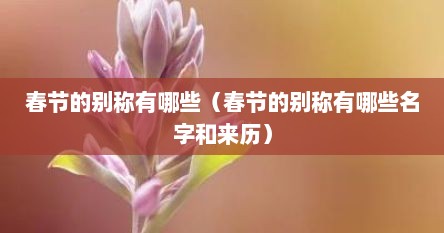 春节的别称有哪些（春节的别称有哪些名字和来历）