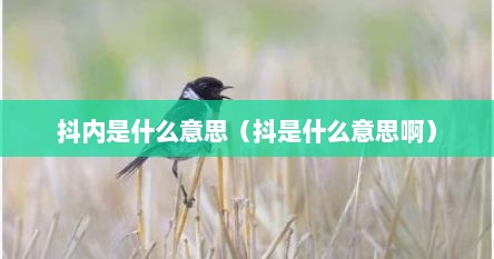 抖内是什么意思（抖是什么意思啊）