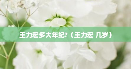 王力宏多大年纪?（王力宏 几岁）