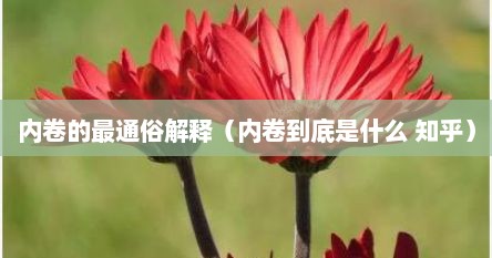 内卷的最通俗解释（内卷到底是什么 知乎）