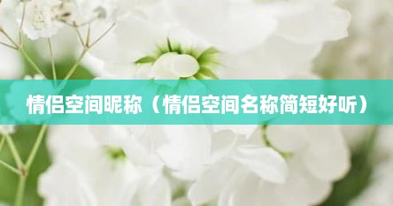 情侣空间昵称（情侣空间名称简短好听）