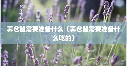 养仓鼠需要准备什么（养仓鼠需要准备什么吃的）