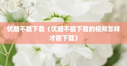 优酷不能下载（优酷不能下载的视频怎样才能下载）