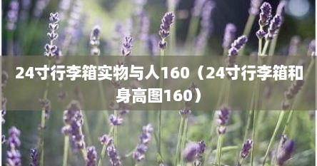 24寸行李箱实物与人160（24寸行李箱和身高图160）