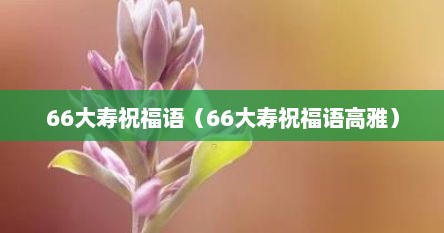 66大寿祝福语（66大寿祝福语高雅）