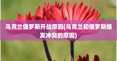 乌克兰俄罗斯开战原因(乌克兰和俄罗斯爆发冲突的原因)