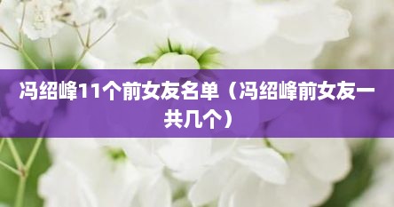 冯绍峰11个前女友名单（冯绍峰前女友一共几个）